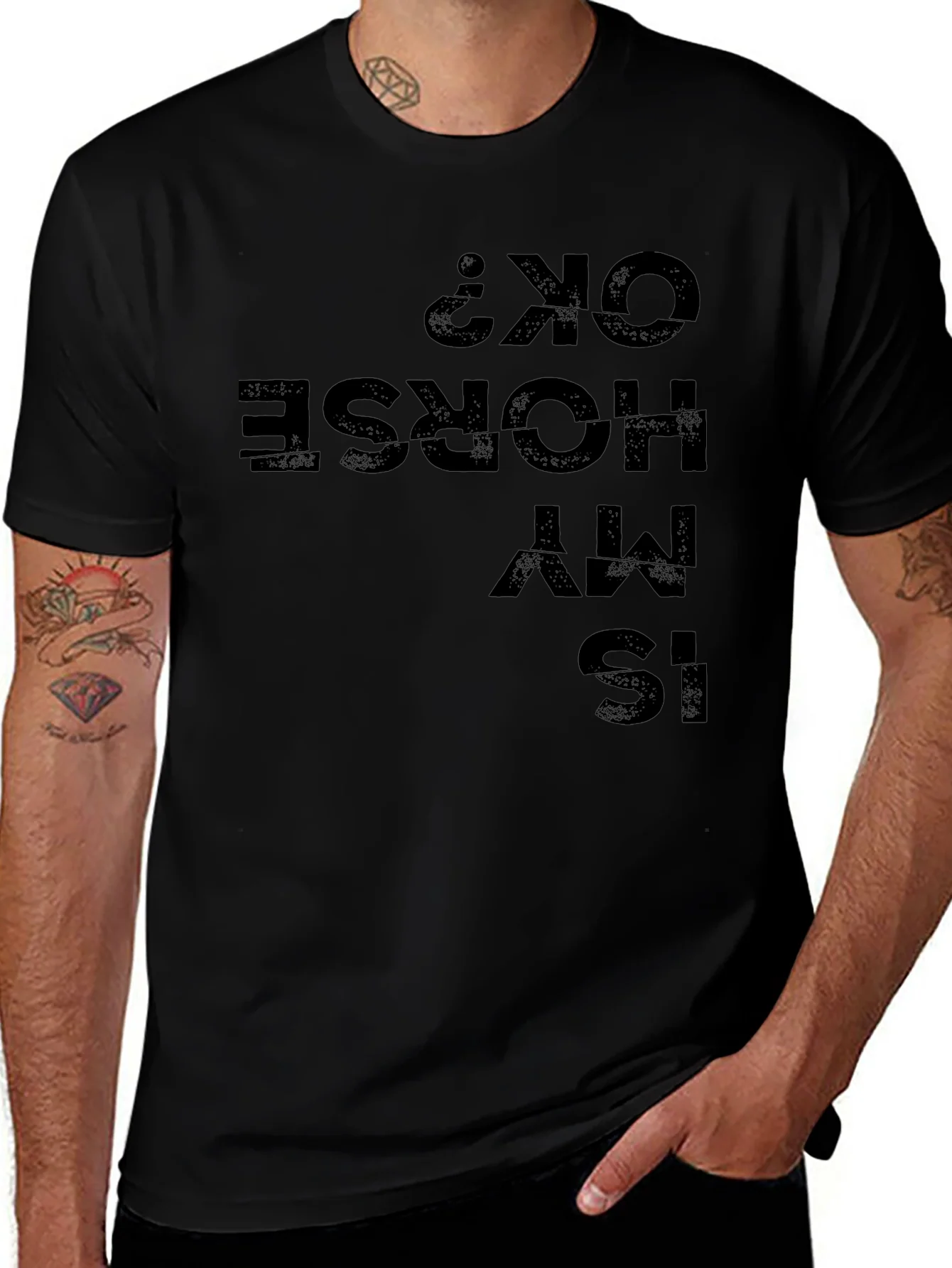 Is My Horse OK? Funny Graphic Tee